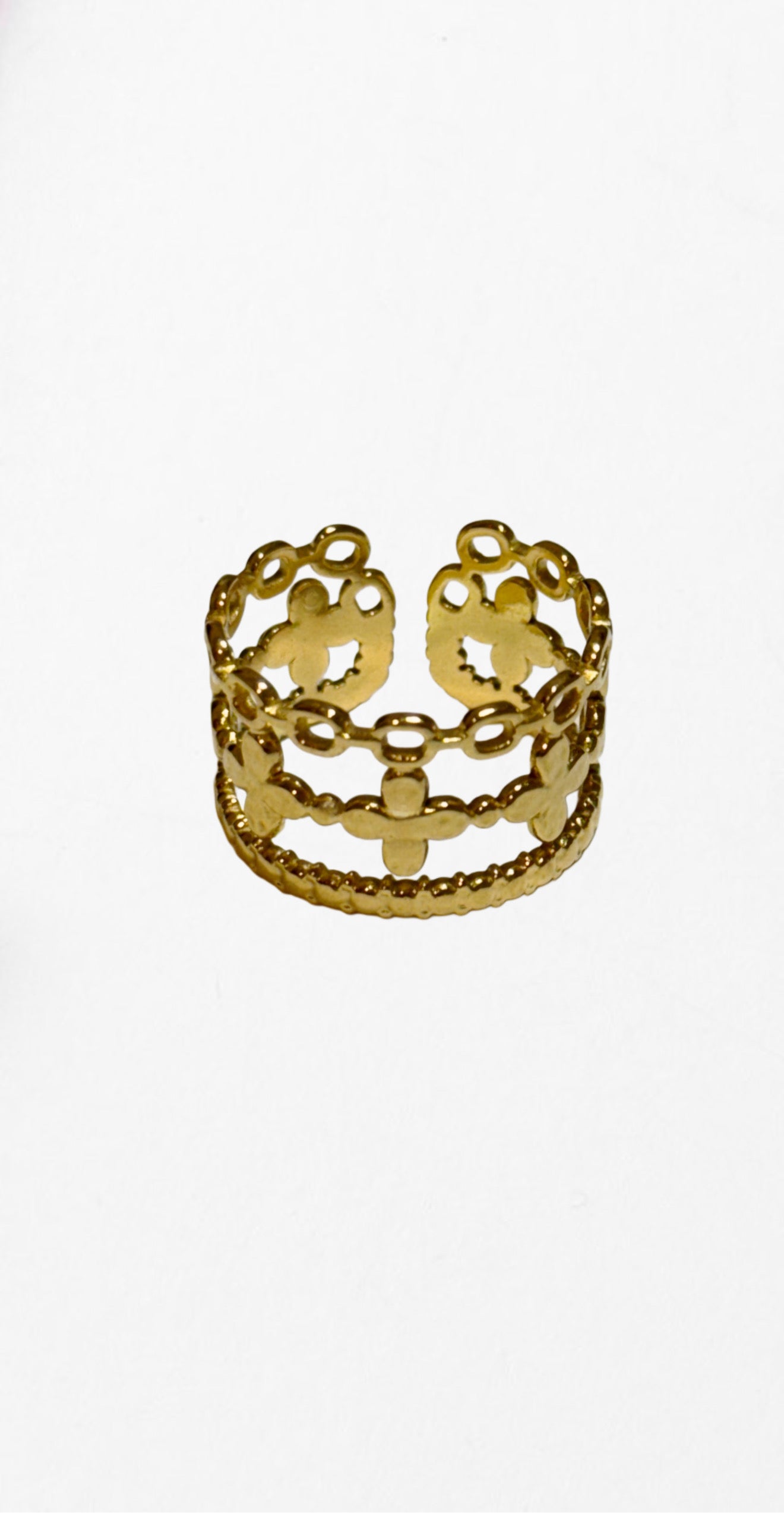 Anillo Ría