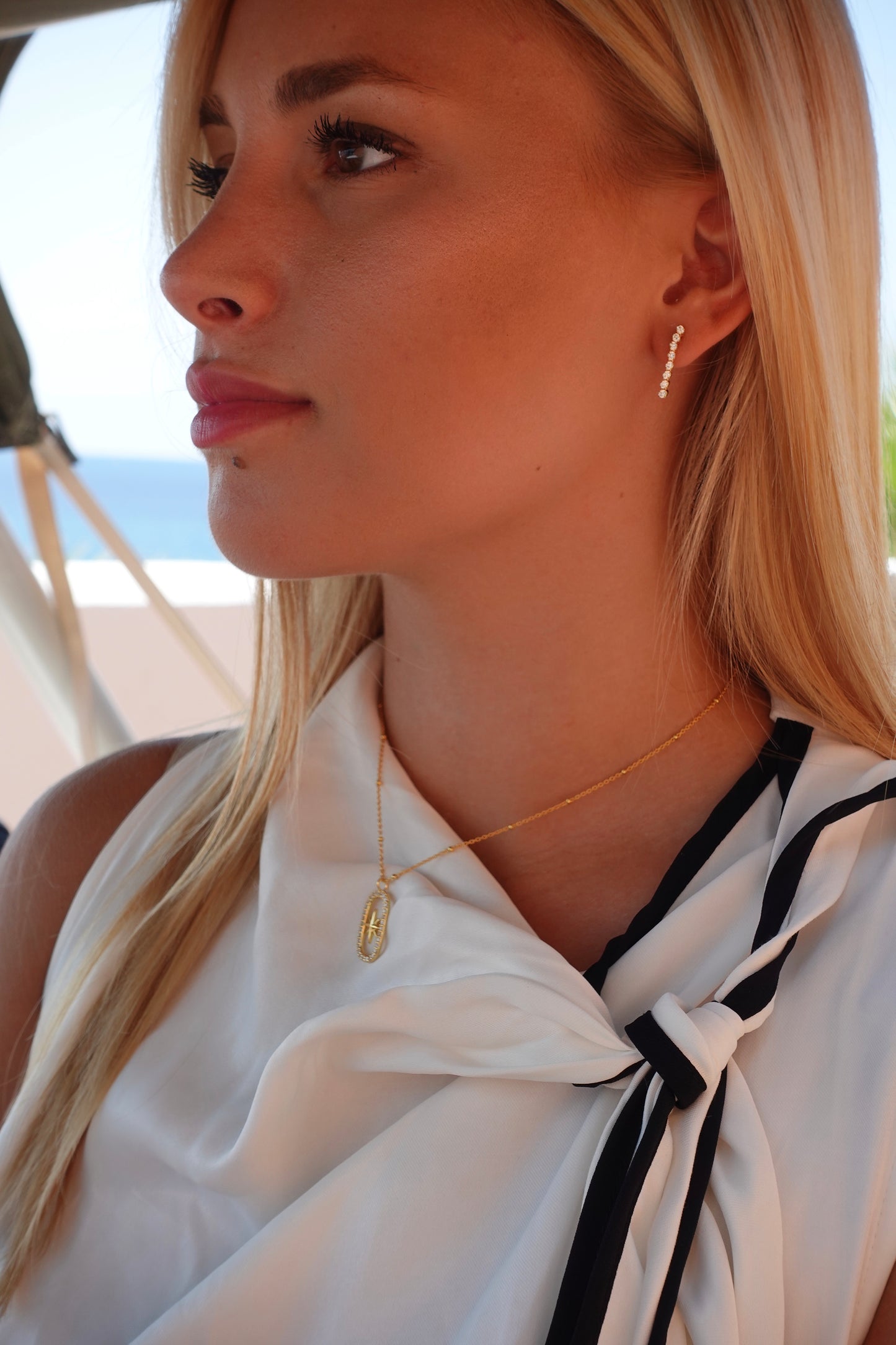 Collar Rose des Vents