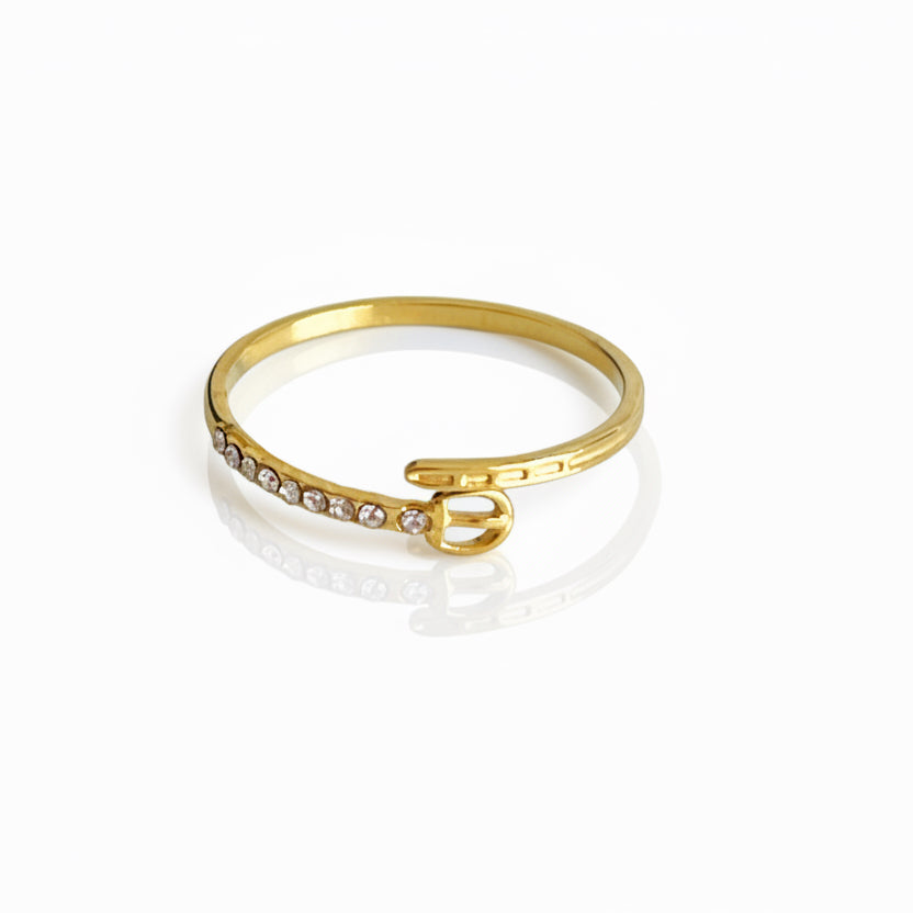 Anillo Rigat