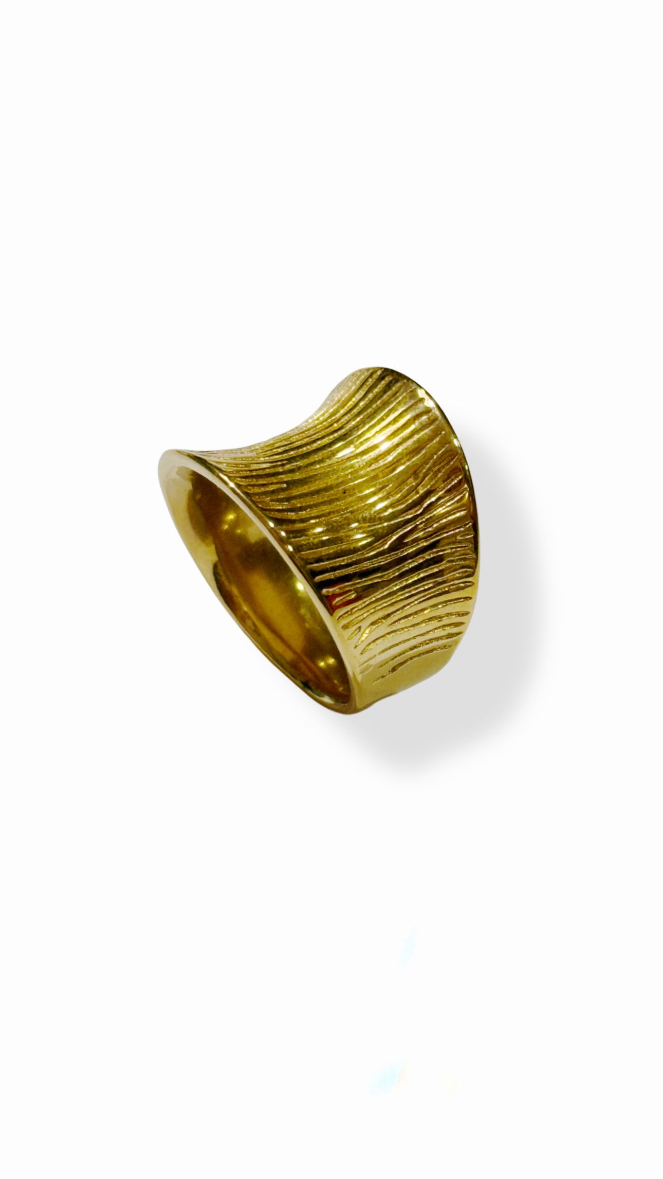 Anillo Vínculo