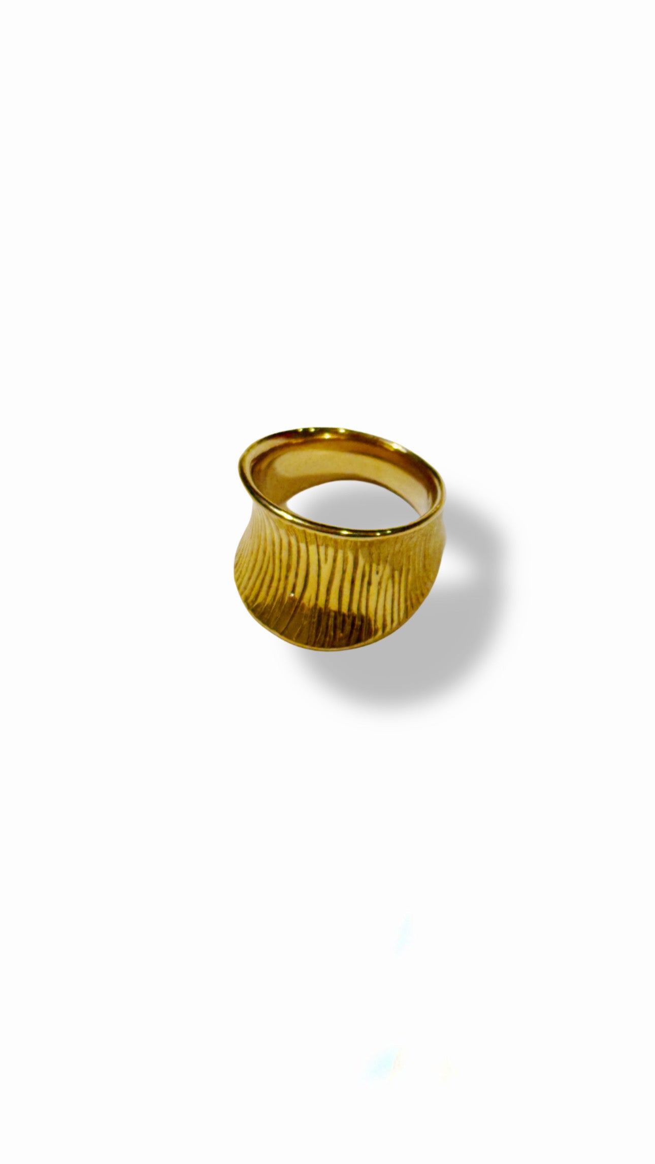 Anillo Vínculo