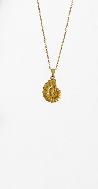 Collar Cora