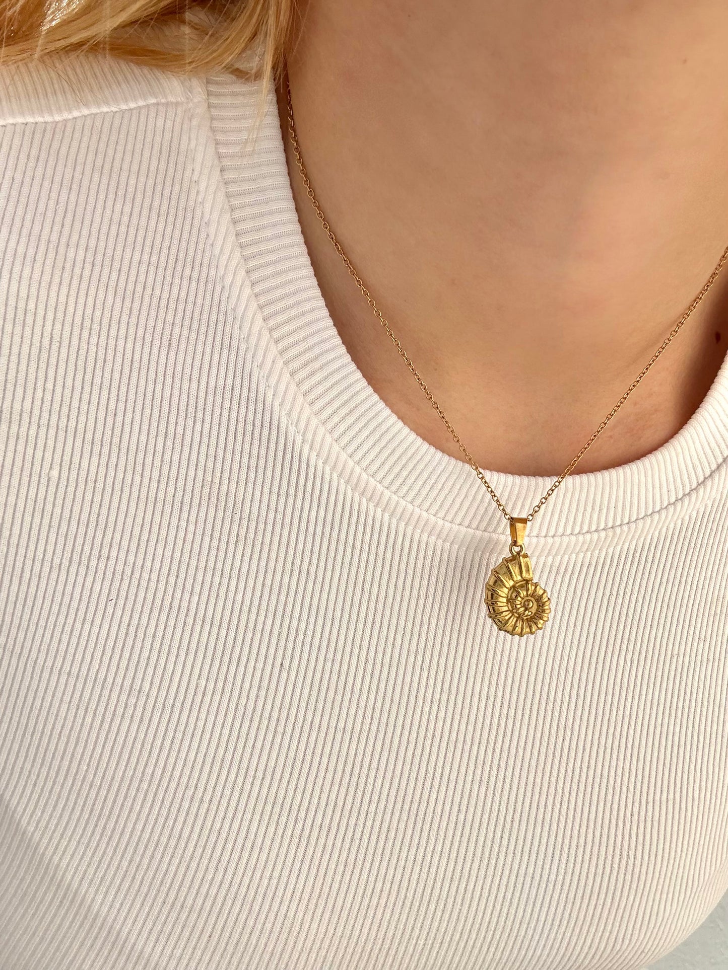 Collar Cora