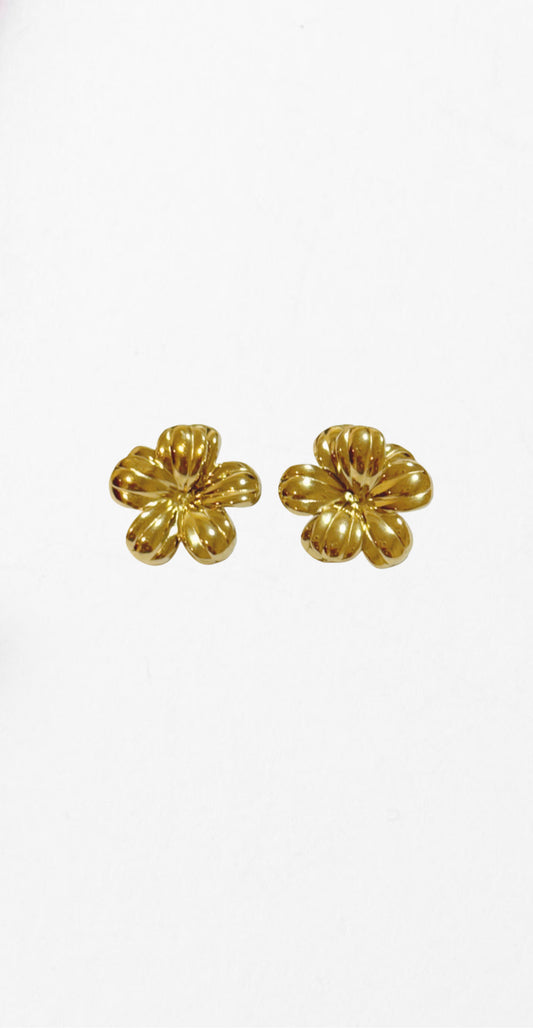 Pendientes Siena
